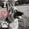 Deb Spear - @debspear0 - TikTok