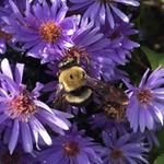 Deb Spearot - @debspearot - Instagram