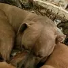 Debbie - @debbie.spears - TikTok