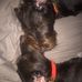 Debra Hughes Spears - Facebook