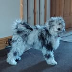 Debs Palmer Pearson - @debspearson3 - Instagram