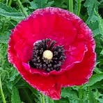 Deb Specht - Facebook