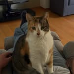 Debra Specht - @debrakspecht - Instagram