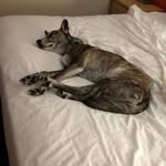 Deb Spencer - @dtolspen - Instagram