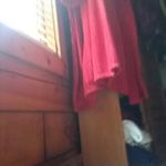 Deb Spicer - @deb.spicer.756 - Instagram