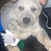Deb Spitzley - Facebook