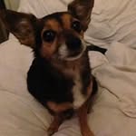 Debbie Spooner-Chapman - @spoonerchapman - Instagram