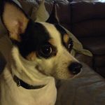 Debbie Spradlin - @debbiespradlin - Instagram