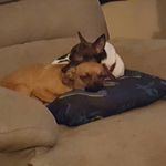 Debbie Spradlin-Bryant - @bryantoaks - Instagram