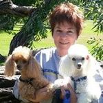 Debi Spradlin Lundgren - @debijoh - Instagram