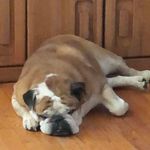 Deb Springer - @deb.springer.7 - Instagram