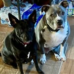 Debbie Heer Springer - @debspringer98 - Instagram