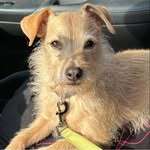 Deb Staley - @neonbird1031 - Instagram