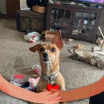 Deb Stallbaum - @debstallbaum - Instagram