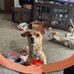 Deb Stallbaum - Facebook