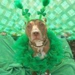 Debbie Stapleton Holcomb - @dholcomb65 - Instagram
