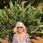 Deborah Stapleton - @stapletondebdream - Instagram
