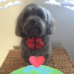 Debra Stapleton - @stapleton4446 - Instagram