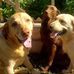 Deb Stark - Facebook