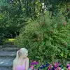 Deb Starr - @deb.starr3 - TikTok