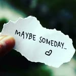 deb Steiner - @ddsteiner67 - Instagram