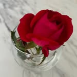 Deb Steinhoff - @honeygram72 - Instagram