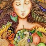 Deb MacDonald Stenberg - @stenbergdeb - Instagram