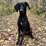 Deb Stephens - @happycamper519 - Instagram