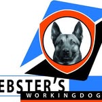 Debster's Workingdogs - @debsters_workingdogs - Instagram