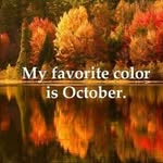 Deb Sterling - @debiesterling55 - Instagram
