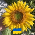 Deb Stern Christenson - @dlc58 - Instagram