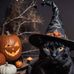 Deb Stetler - Facebook