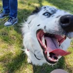 Deb Stevenson - @debntully - Instagram