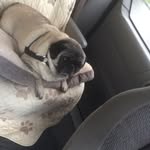 Debi still - @debstill123 - Instagram