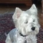 Deb Stokes McConaghy - @debmcconaghy - Instagram