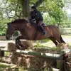 Deb Jones - @debstone1 - TikTok
