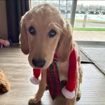 Deb Stone - @deb_stone_ - Instagram