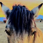 Deb Stone - Facebook