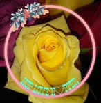 Debs Township - Facebook