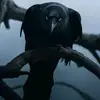 StrangeDebi - @strangedebi - TikTok