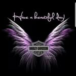 Deb Stratton - @deb.stratton.391 - Instagram