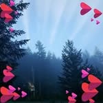 Deb Stratton - @bobndebstratton - Instagram