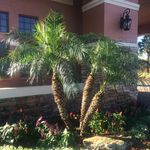 Deb Strayer - @strayerdeb - Instagram