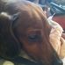 Debby Strayer - Facebook