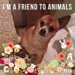 Deb Streeter-davitt - @doodlesdavitt - Instagram
