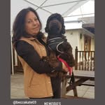 Debbie Streeter - @debbiestreeter1207 - Instagram