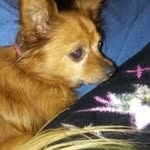 Debra Streeter - @dj2014streeter - Instagram