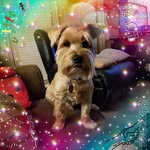 Debra Streeter - @deedeb4u - Instagram