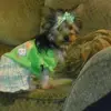 debbiestrickler6 - @debbiestrickler6 - TikTok