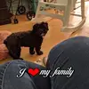 deborastrickler - @deborastrickler - TikTok